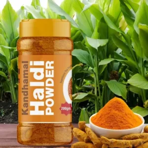 indian spices